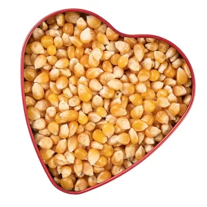popcorn